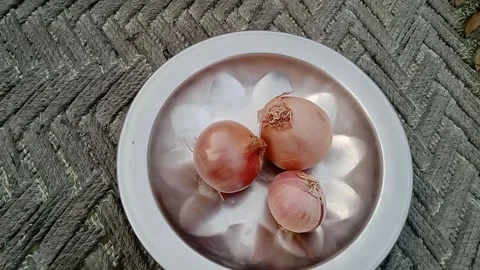 Three Fresh Onions Placed Together on a Plate for Cooking Stock Footage 346339446