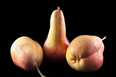 Three fresh pears Stock Photos