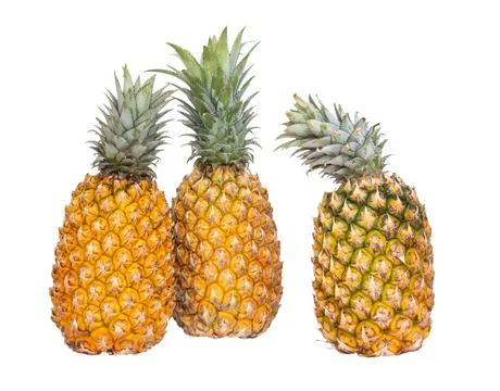 Three fresh pineapples isolated Stock Photos