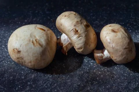 Three fresh raw white button mushrooms on a dark stone background surface Stock Photos