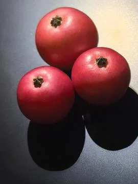 Three Fresh Red Pomegranates with Dramatic Shadows on Dark Background Stock Photos