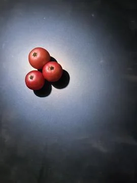 Three Fresh Red Pomegranates with Dramatic Shadows on Dark Background Stock Photos