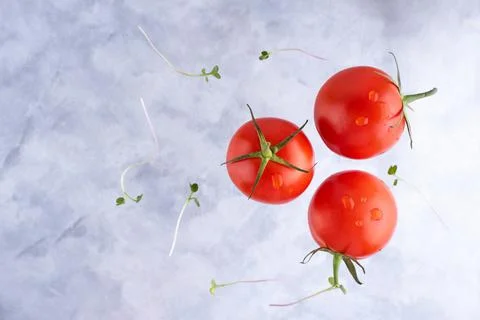 Three fresh red tomatoes with micro grins on a gray background Foto stock