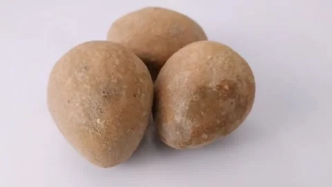 Three Fresh Sapodilla Fruit Isolated on White Background Stock Footage 340496001