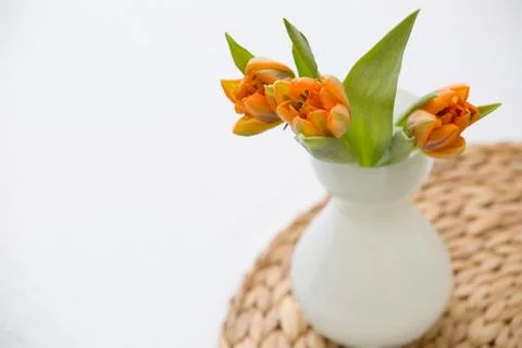 Three fresh spring orange tulips in a nice white glass vase on the straw boar Stock Photos