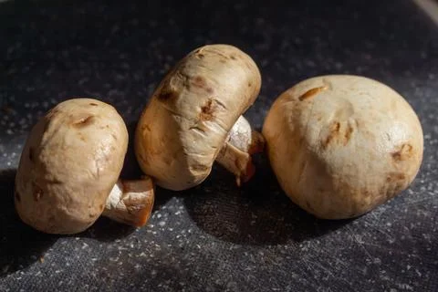 Three fresh white button mushrooms lying on a dark stone surface Stock Photos
