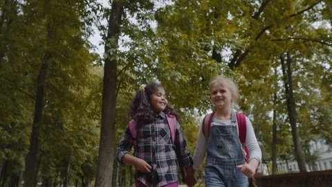 Three Friends With Backpacks Are Going to School. Mixed Racial Group of School Video stock 112670151