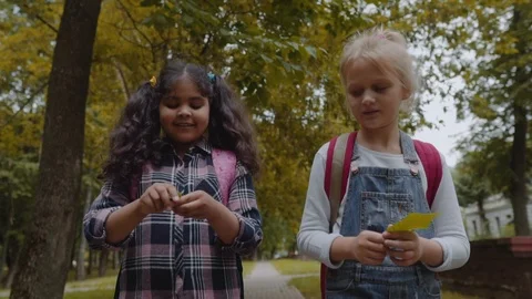 Three Friends With Backpacks Are Going to School. Mixed Racial Group of School Video stock 112670500