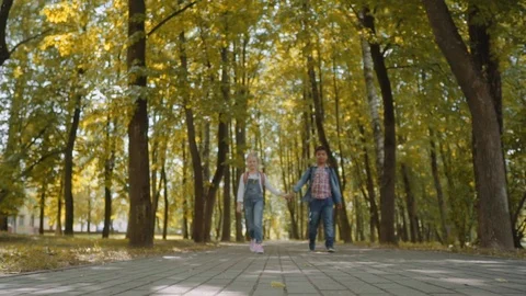 Three Friends With Backpacks Are Going to School. Mixed Racial Group of School Video stock 112671068
