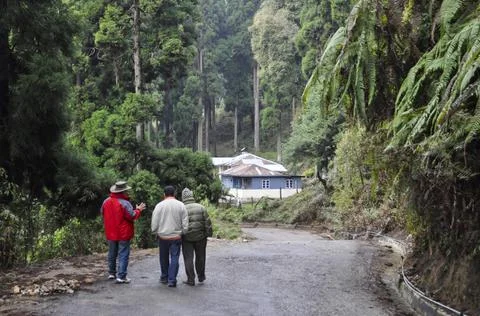 The Three friends Stock Photos