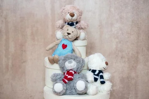 Three friends Teddy from the box Stock Photos