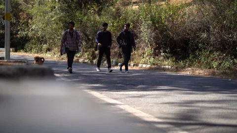Three friends walking down in the forest. Exploring and travel concept. Stock Footage 149928216