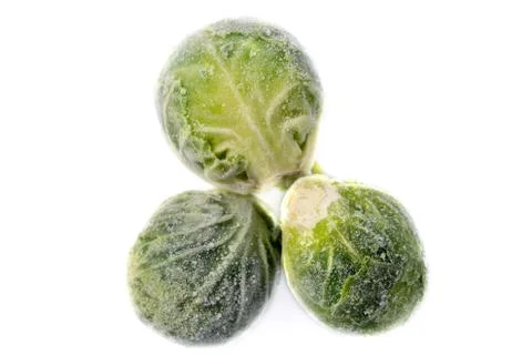 Three frozen sprouts Stock Photos