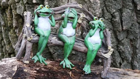Three funny frogs sit on an old tree stump Stock Footage 320317949