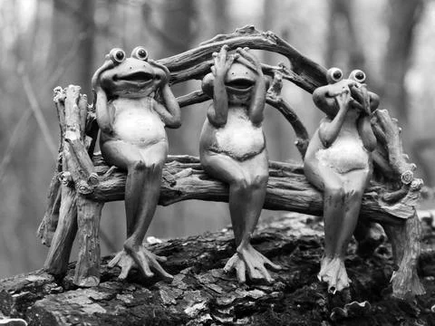 Three funny frogs sit on an old tree stump in the forest Stock Photos