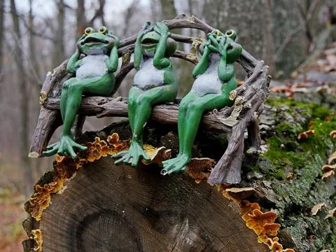 Three funny frogs sit on an old tree stump in the forest Stock Photos
