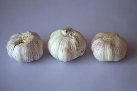Three garlic bulbs in a row isolated on purple background Stock Photos