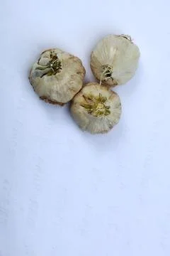 Three Garlic Bulbs on White Background Stock Photos