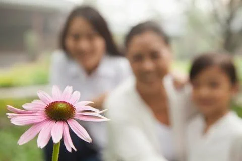 Three generation looking at flower in garden Stock Photos
