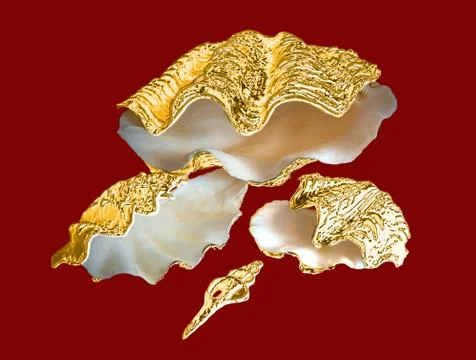 Three giant clam shells with gold-leaf, arranged as a box Stock Illustration