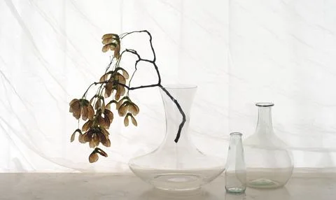 Three glass objects and a branch of a maple tree with seeds, home decor, ne.. Stock Photos