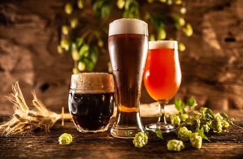 Three glasses with draft beer in front of a wooden barrel. Decoration of ba.. Stock Photos