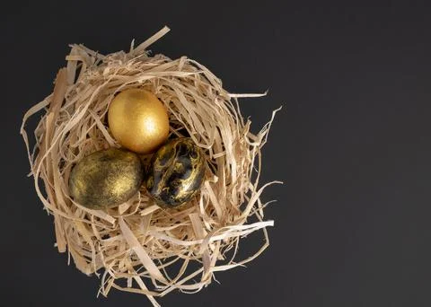 Three Golden and black Easter eggs lie in a nest on a dark background. Stock Photos