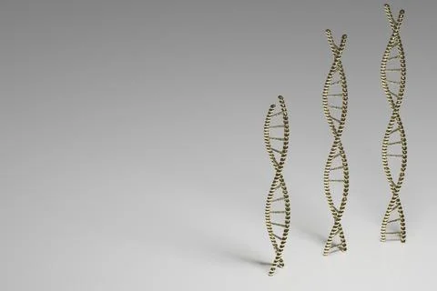 Three golden  DNA molecule complex spiral structure on a greay background , m Illustrazione stock