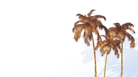 Three Golden Palms Background Stock Footage 313818572