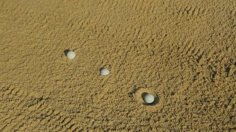 Three golf balls sitting in sand pit on golfing course A Stock Footage 125332078
