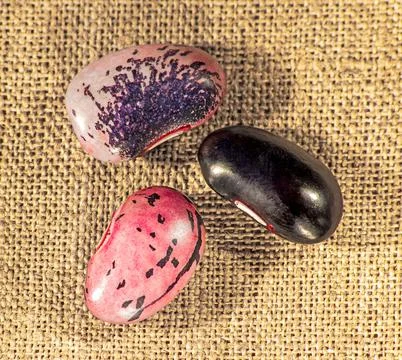 Three grains of multi-colored beans close-up top view Stock Photos