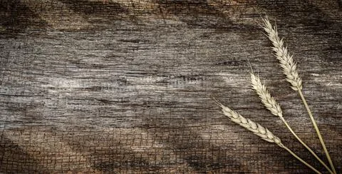 Three grats of wheat against the background of aged wood Foto stock