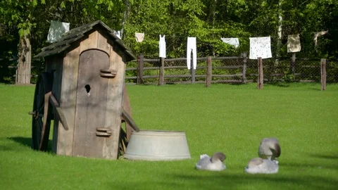 Three gray ducks lying on the green grass lawn Stock Footage