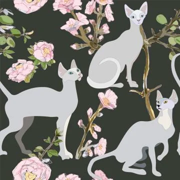 Three gray siamese or sphinx cats in sakura flowers on a black background sea Stock Illustration