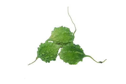 Three green colored small sized bitter melon isolated in an empty white backg Stock Photos