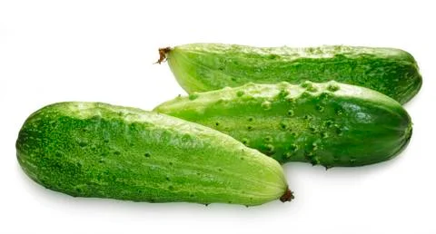 Three green cucumbers Stock Photos