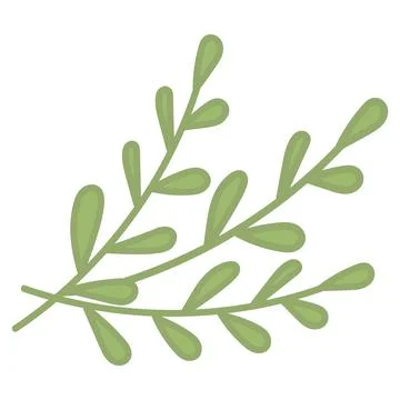 Three green decorative branches vector illustration. Hand drawn doodles leaf 스톡 일러스트