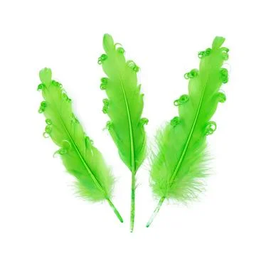 Three green feathers. Stock Photos