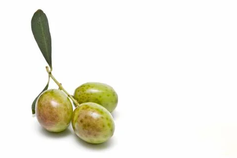 Three green olives. Stock Photos