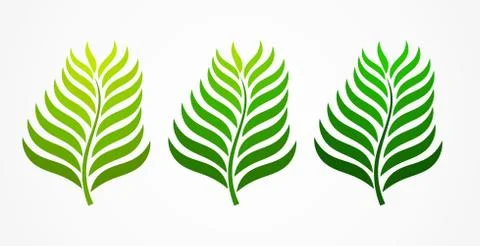 Three green palm leaves. Vector illustration. Stock Illustration