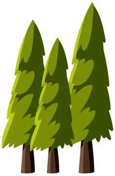 Three Green Pine Trees Vector Illustration Isolated on White Background Stock Illustration