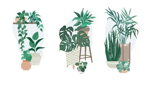 Three groups with potted tropical home plants Stock Illustration