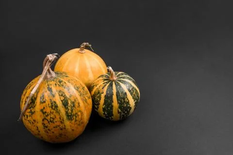 Three Halloween pumpkins Stock Photos