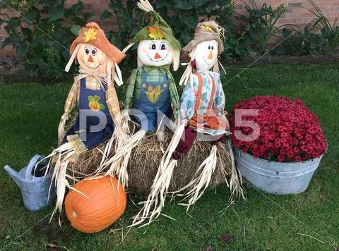 Three Halloween scarecrows Stock Photos