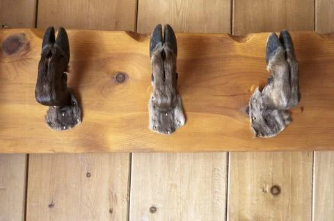 Three hanger Stock Photos