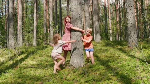Three happy children hugging a tree together in a lush summer forest settin.. Stock Footage 317677080