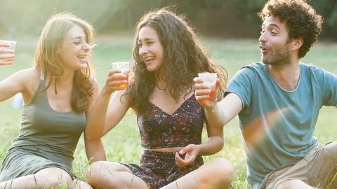 Three happy students sitting in the park toasting  Stock Footage 80028368