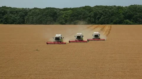 Three harvester 動画素材 11056155