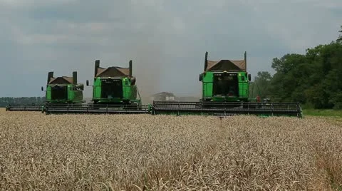 Three harvester travel on camera Vídeo Stock 11022840
