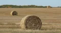 Three hay bales in a field. Manitoba, Canada. HD Footage